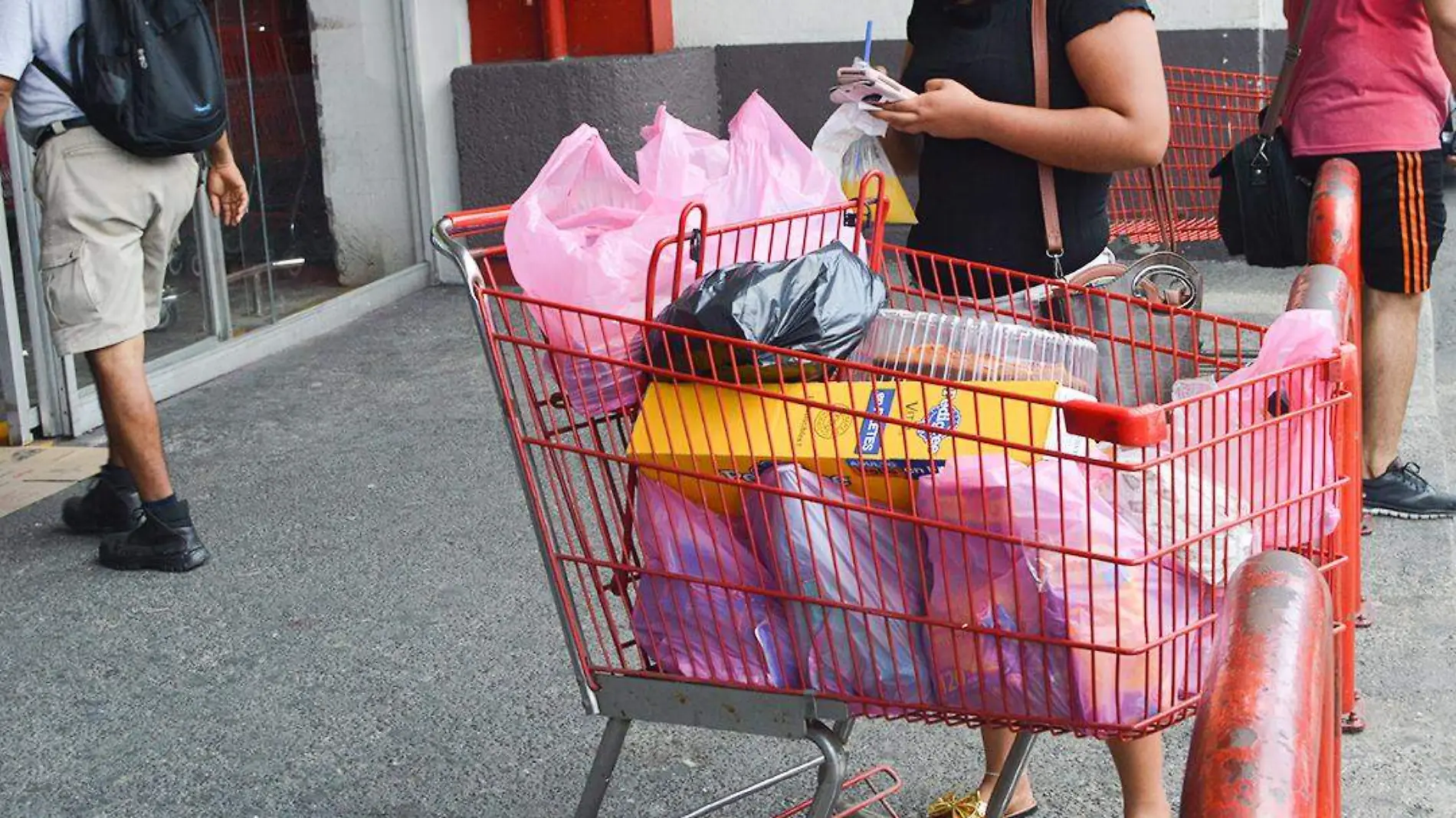 bolsas de plastico